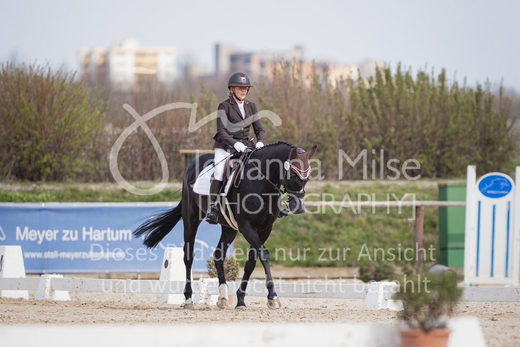 230410_Frühlingsfest_DressurWBE1-216 | Deine schönsten Turniermomente als professionelle Fotos! Entdecke hochwertige Pferdesport-Fotografie im Online-Shop. Jetzt Fotos finden & bestellen!