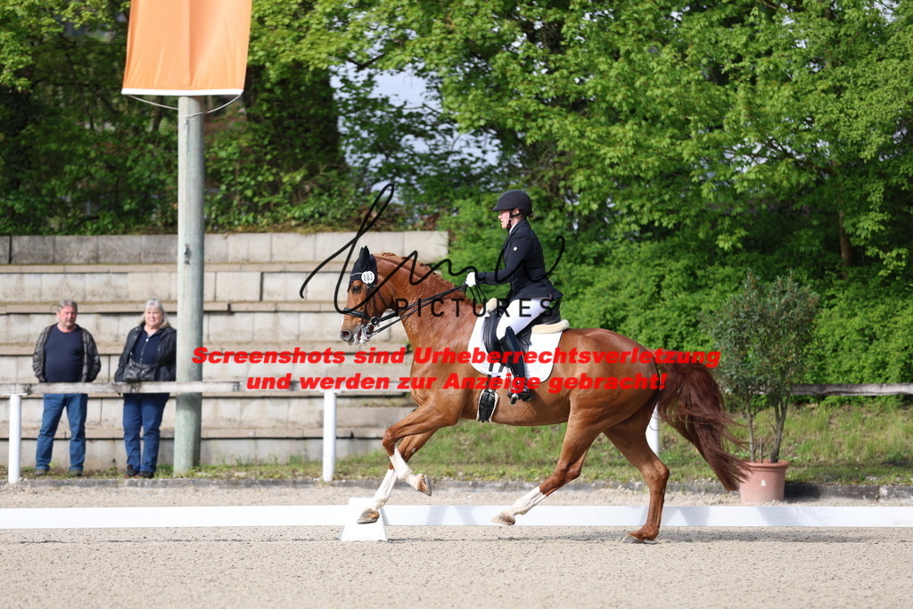 A40A3385 | lmwpictures - Realisiert mit Pictrs.com