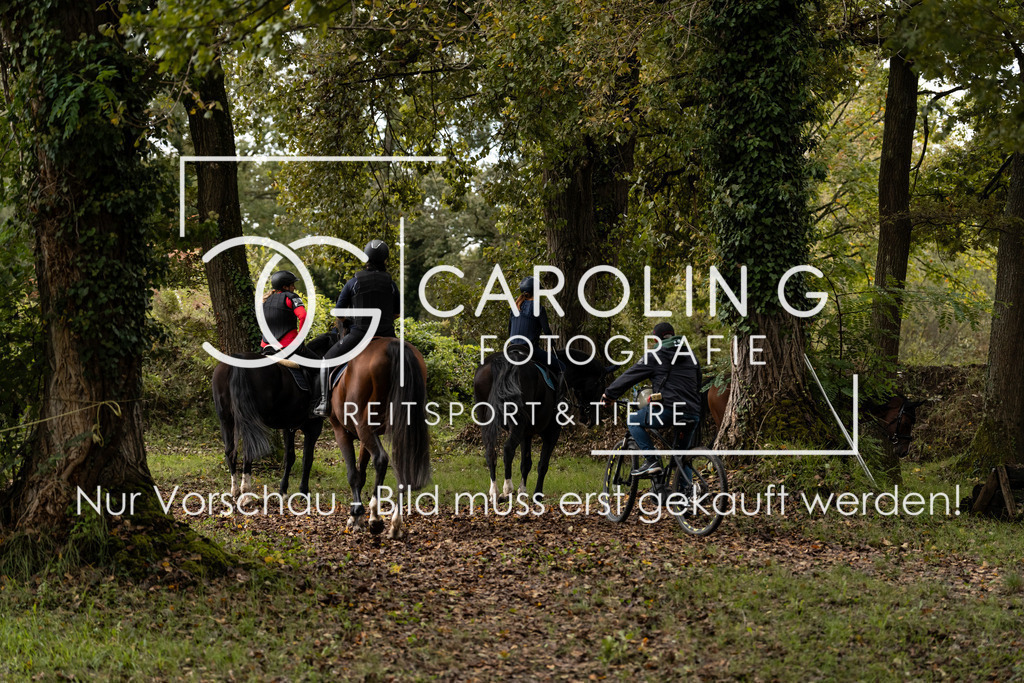 DSC06651 | Turnierfotografin Carolin Gieschke, Turnierfotografie Carolin G Fotografie, Turnierfotos Kirchheim/Teck, Esslingen, Stuttgart, Bodenseekreis