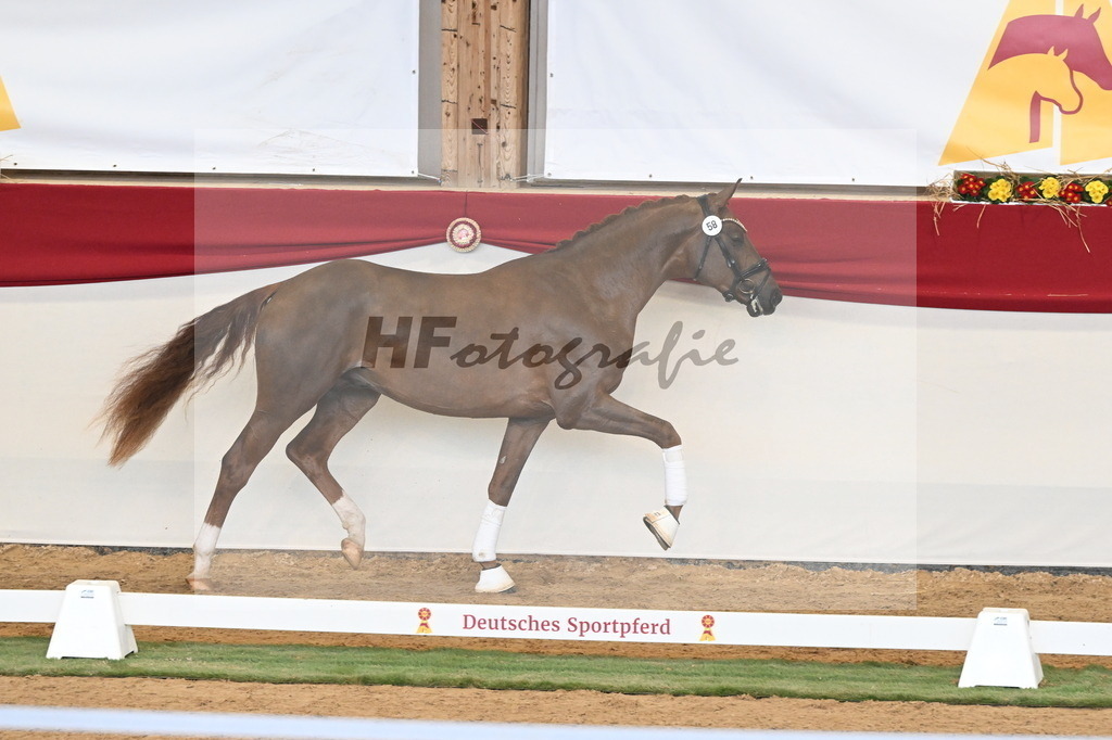 Kat.-Nr. 58 v. Filox_Rothenberger_3260645 | hf-fotografie - Realisiert mit Pictrs.com