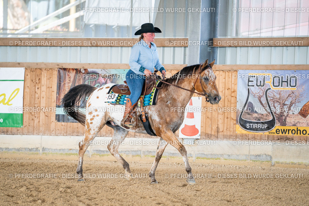 DSC02080 | Pferdegrafie