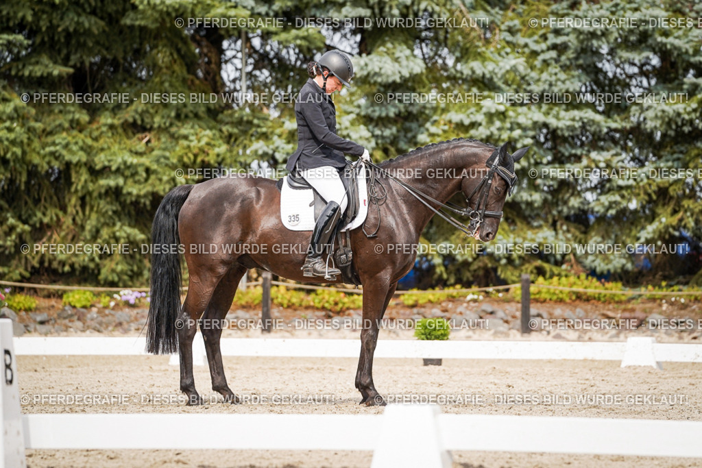 DSC06827 | Pferdegrafie