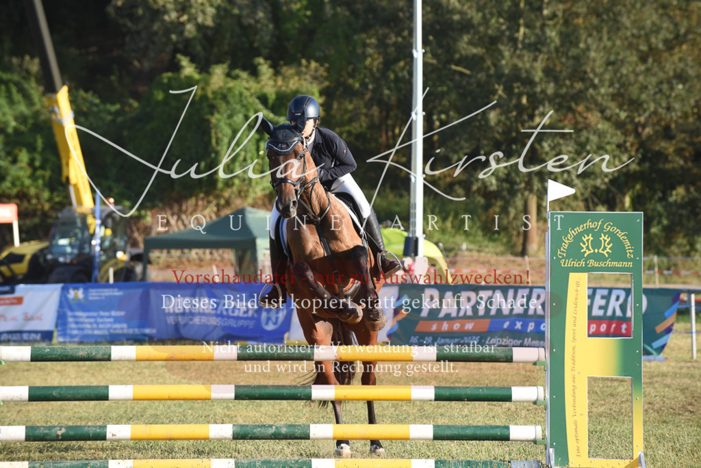 DSC_4885 | Pferde- und Turnierfotografie in Westsachsen. Pferdeportraits, Auftragszeichnungen und intuitive Kunst.