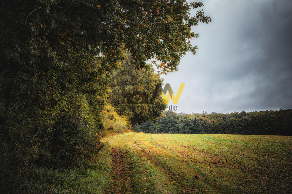 Der Altmühltal Panoramaweg-Wälder,Wiesen und Wandern in Natur | Das Bild zeigt einen Feldweg, der am Rand eines Waldes entlangführt und in eine offene Ackerfläche übergeht.Die Szene wirkt herbstlich, mit warmen Gelb- und Grüntönen in der Vegetation.Der Himmel ist bedeckt und bewölkt, was auf bevorstehendes oder kürzlich vergangenes schlechtes Wetter hinweisen könnte. - Realisiert mit Pictrs.com
