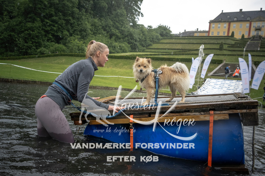 1329_ZZ98770 | kk-dogfotos