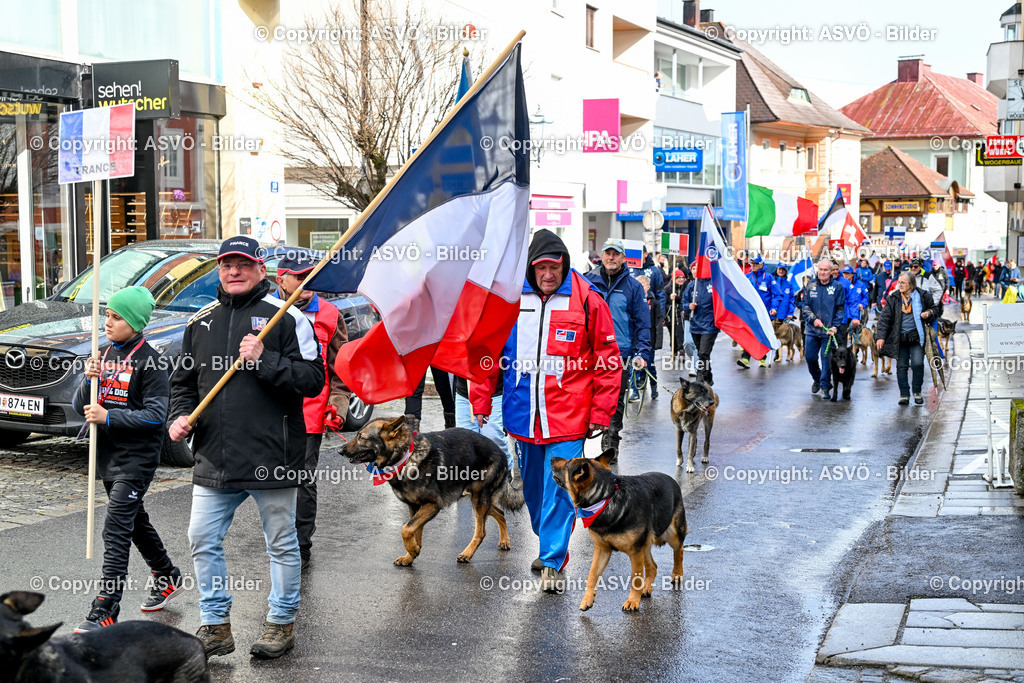 ASVÖ_ Tracking Dog World Championship 2025_ 31.03.2025-192 | 31.03.2025, AUT, ASVÖ, Tracking Dog World Championship // FCI IGP Fährtenhundeweltmeisterschaft 2025©fodo.media / Harald Dostal - Realisiert mit Pictrs.com