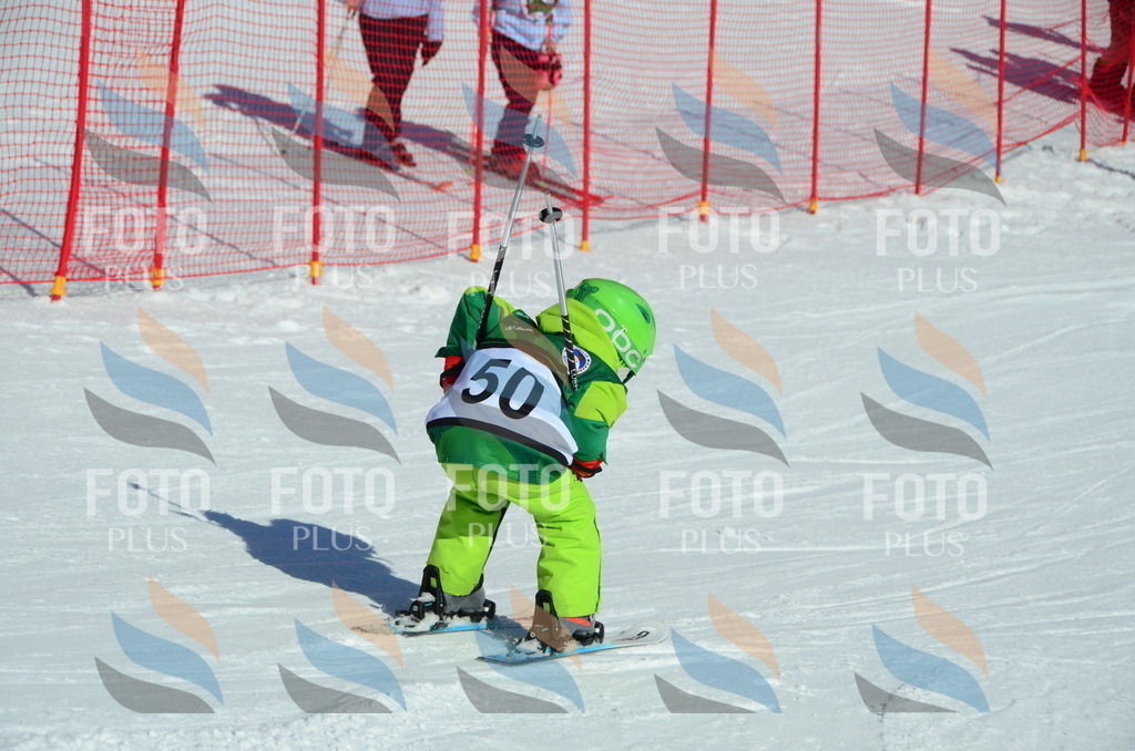 C5201 | holidayphoto