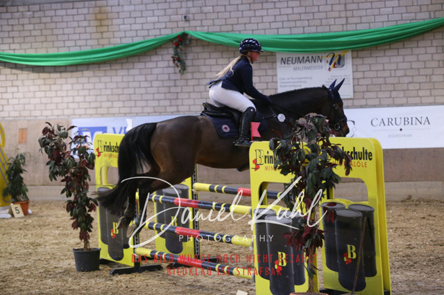 IMG_0849 | Deine Turnierfotos vom Reitturnier online kaufen: Dressur, Springen & Siegerehrung. Professionelle Pferdefotografie aus dem Rheinland – als Download & Print.Alternative: Turnierfotograf für den Pferdesport: Finde deine Fotos von Dressur- und Springturnier
