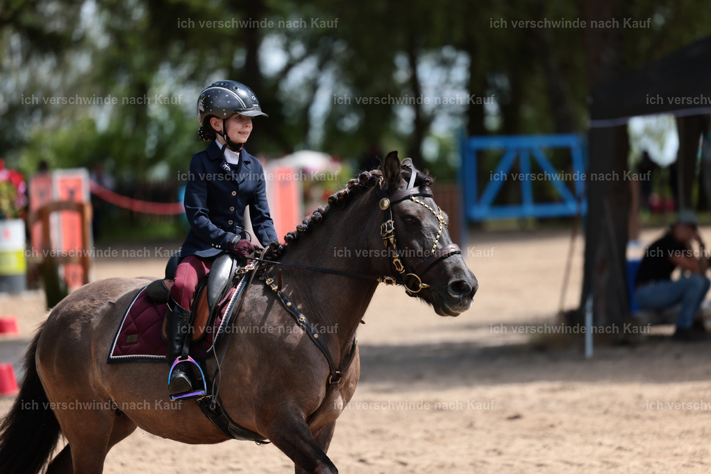 KlasseA_Stoibphotography_C2_L5682.JPG | working equitationturnier fotograf videograf stoibphotography marixx film working equitation deutschland reitsport turnierfotografie eventfotografie equestrian events