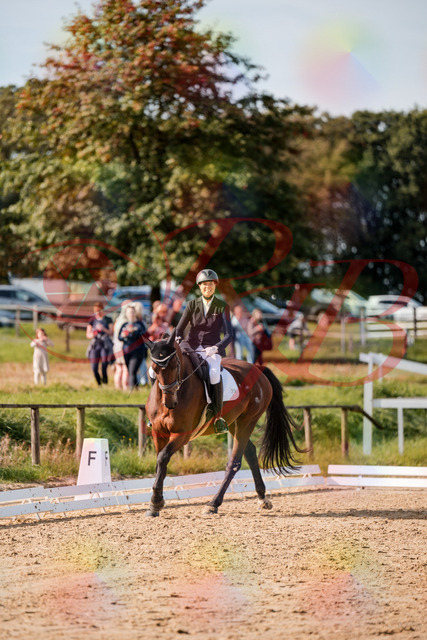 2026_10_03_Siefer-Hof_122908_Z63_50107266 | Professionelle Reitsport-, Turnier- und Eventfotografie von Robert Broda. Galerien mit ausgewählten und bearbeiteten Bildern direkt online ansehen und bestellen.