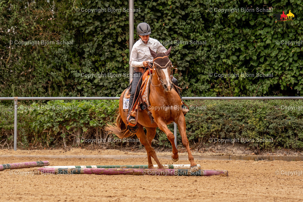 LMS06302 | BS-foto