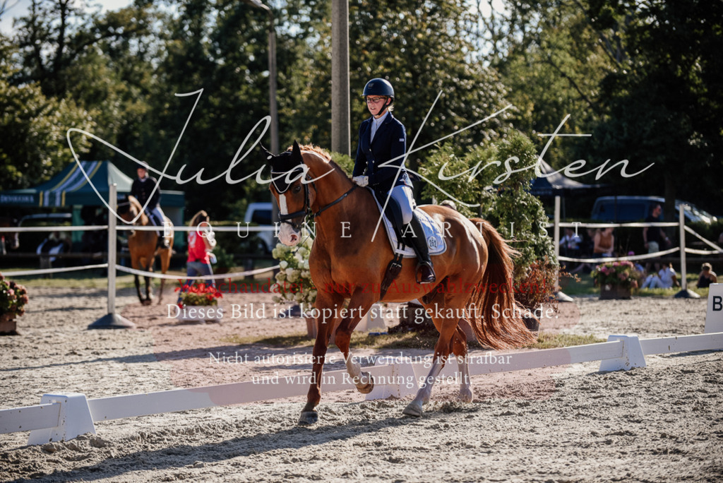 DSC_0488 | Pferde- und Turnierfotografie in Westsachsen. Pferdeportraits, Auftragszeichnungen und intuitive Kunst.