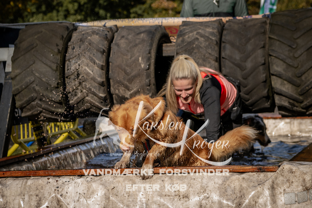 1358_ZZ93540 | kk-dogfotos