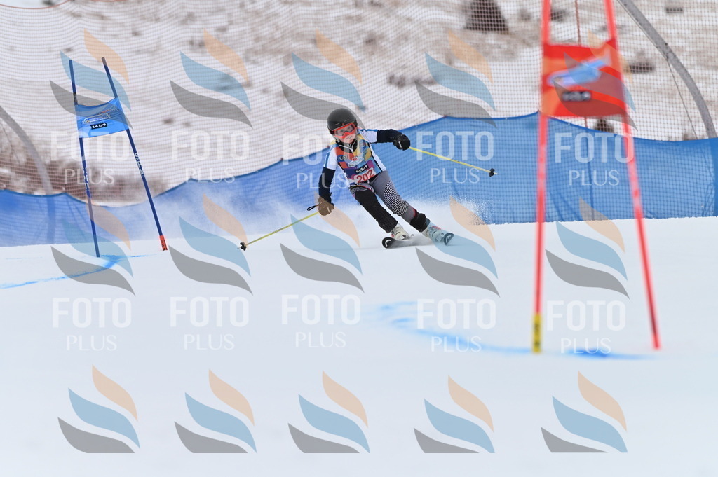 BGV_1966 | holidayphoto