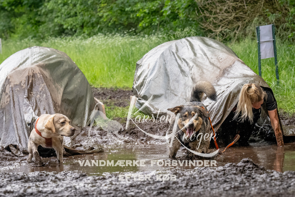 1519_ZZ92772-Bearbeitet | kk-dogfotos