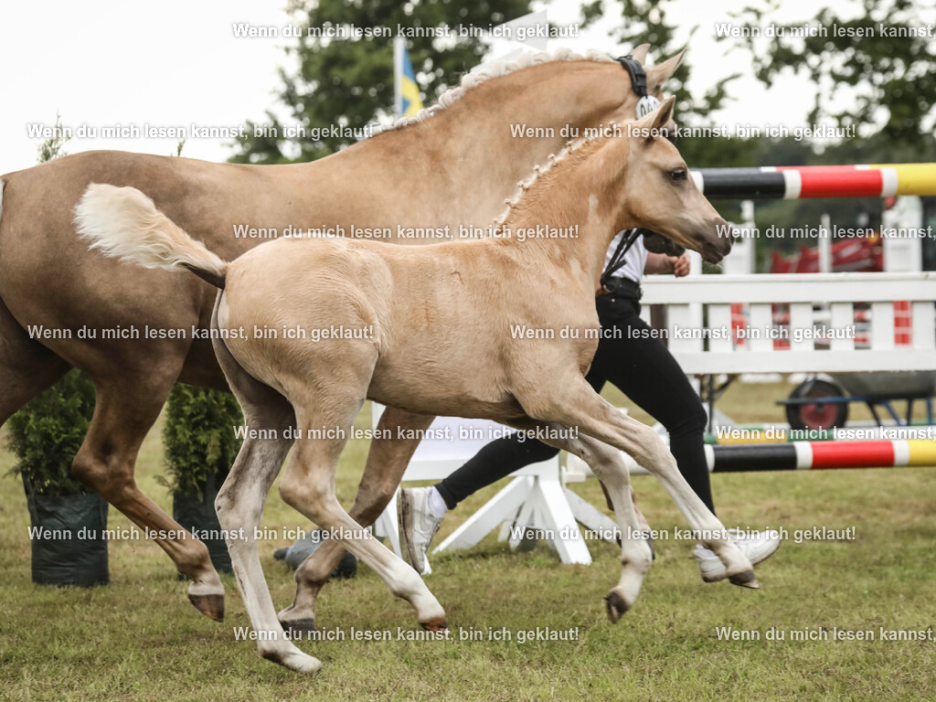 598A1685 | photographylinaismer - Realisiert mit Pictrs.com