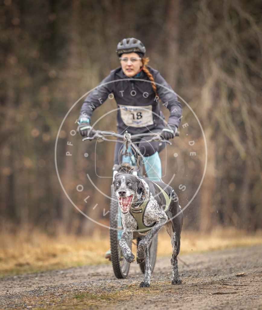 DV3A3214 | Hundefotografie, Tierfotograf, Pfotenfotografie, Fotoshooting Hund, Hunde Portrait, Hundesport, Hundeportraits, Heideshooting, Hunde, Sportfotograf, Hundefotograf, Turnierhundsport, THS,  - Realisiert mit Pictrs.com
