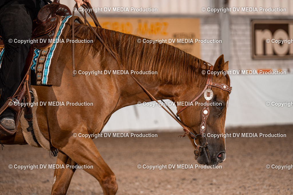 ZH100012 | dv-media-shop - Realisiert mit Pictrs.com