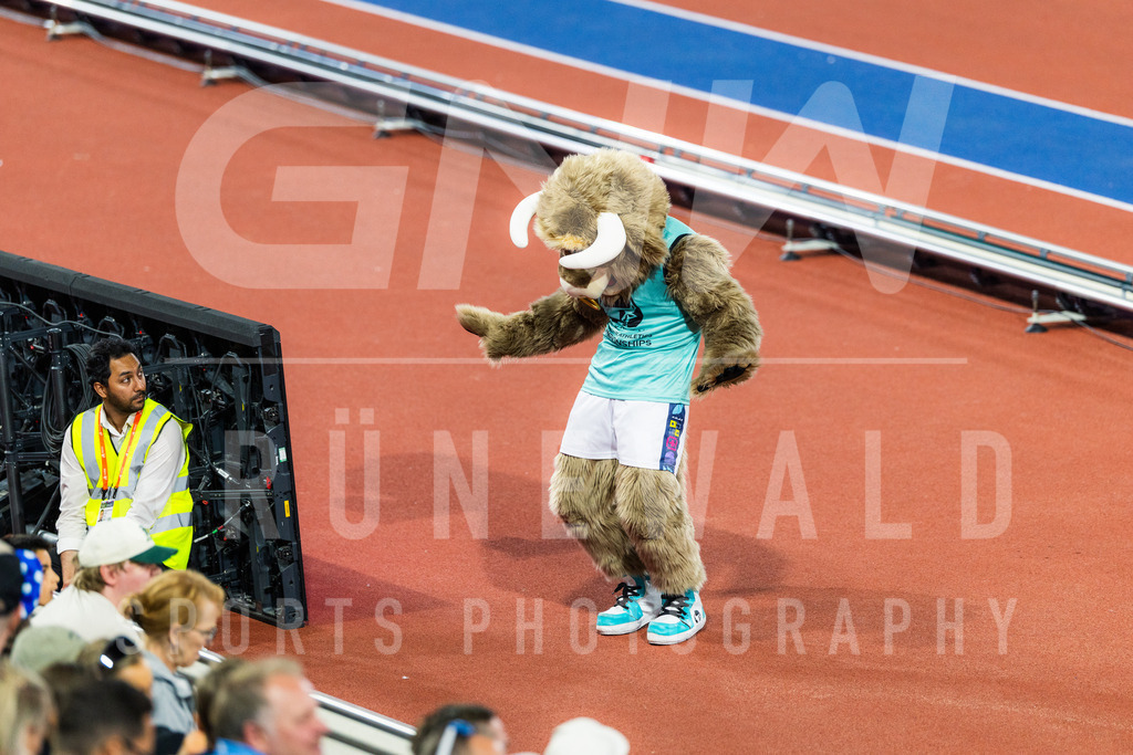 EM_26_T2_PG_-85 | Grünewald Sportsphotography