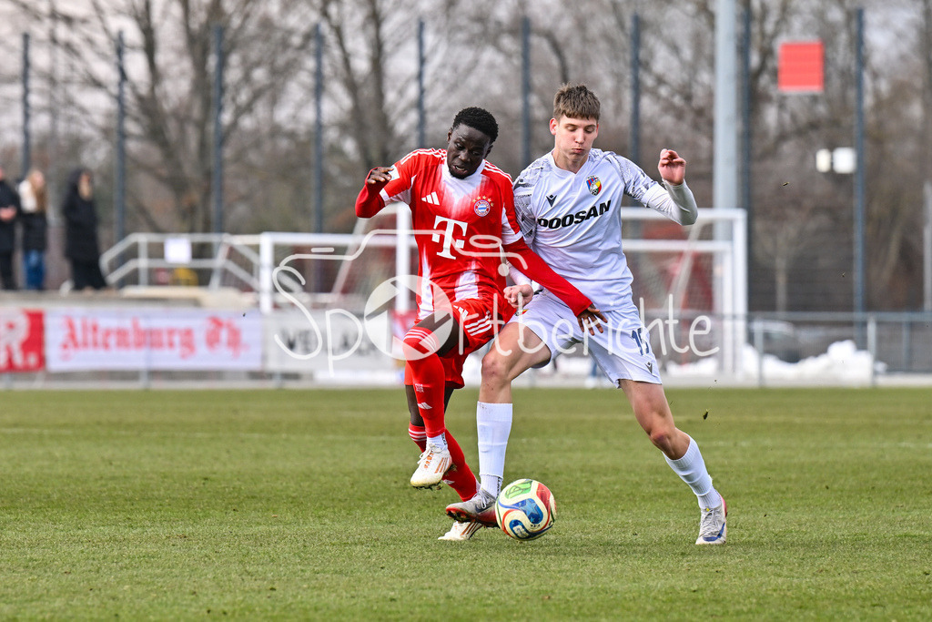 FC Bayern Amateure - FC Viktoria Pilsen U23 | MUNICH, GERMANY - 03. FEBRUARY: im Duell Bajung DARBOE (FC Bayern München II 9) und einem Spieler von Viktoria Pilsen während dem Testspiel zwischen den Amateuren des FC Bayern und dem FC Viktoria Pilsen B am FC Bayern Campus