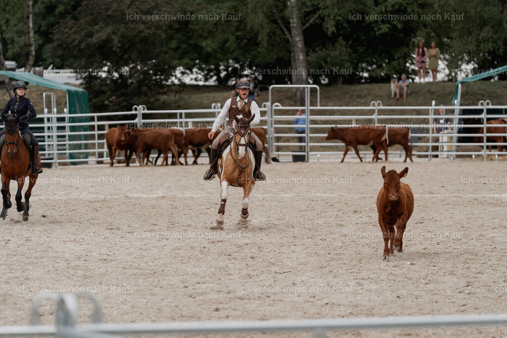 WE__Stoib_Rinder_PI2025_3171 | Pferd International München 2025