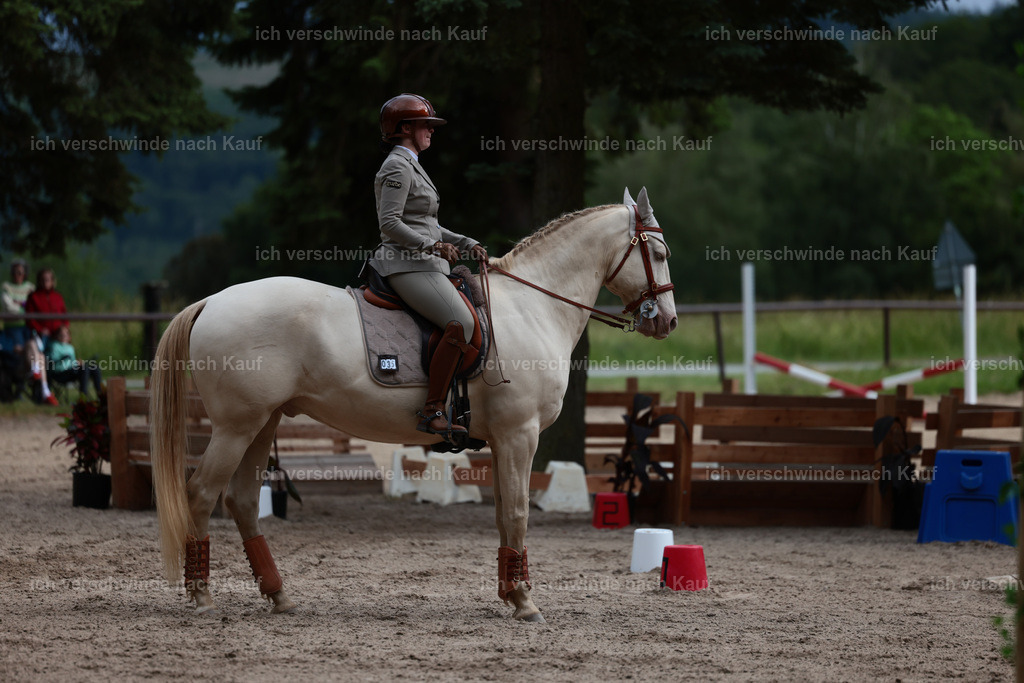 Masterclass_stoibphotography_C2_L6893.JPG | working equitationturnier fotograf videograf stoibphotography marixx film working equitation deutschland reitsport turnierfotografie eventfotografie equestrian events