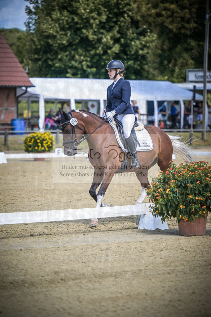 DOS_3379 | Entdecke hochwertige Reitturnierfotos von Foto Oger. Professionell, emotional und authentisch – jetzt Lieblingsmomente im Shop bestellen.Deutschlandweite Turnierfotografie. - Realisiert mit Pictrs.com