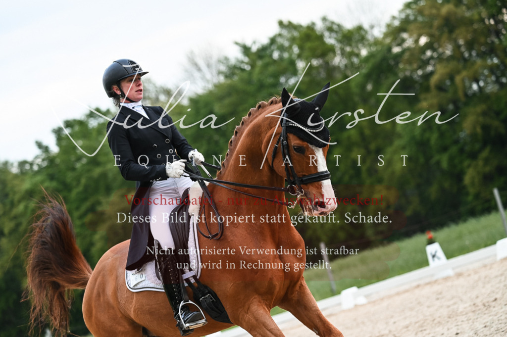 20230513_JK-Röhrsdorf-13-566 | Pferde- und Turnierfotografie in Westsachsen. Pferdeportraits, Auftragszeichnungen und intuitive Kunst.