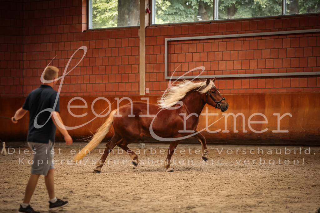 SaFL00483 | Leoni Ertmer Photography - Realisiert mit Pictrs.com