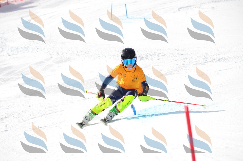 C8015 | holidayphoto