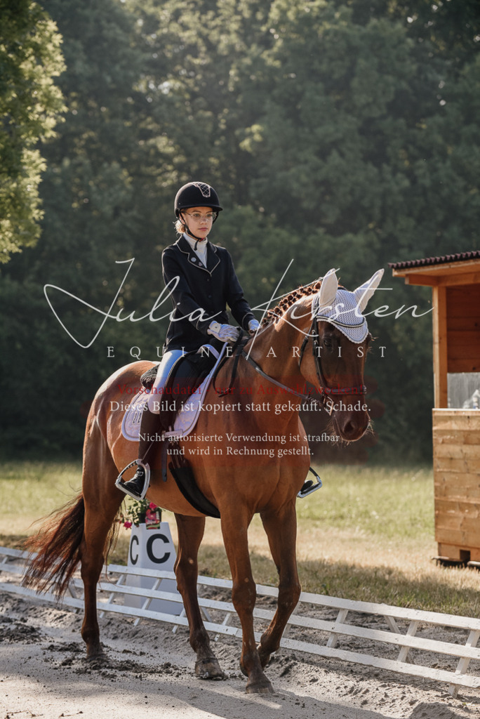DSC_7673 | Pferde- und Turnierfotografie in Westsachsen. Pferdeportraits, Auftragszeichnungen und intuitive Kunst.