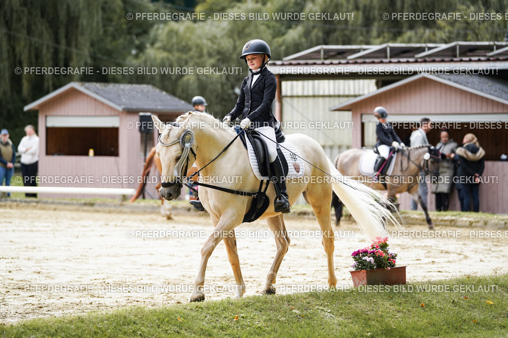 DSC05803 | Pferdegrafie