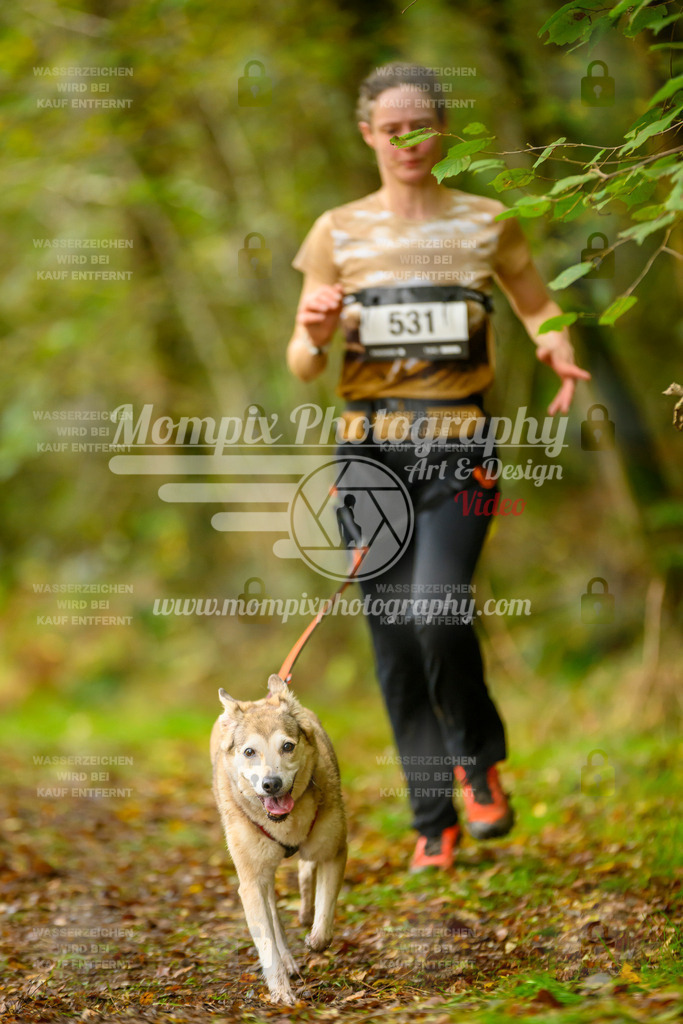 MompixPhotography_20TSB_E1_Run-164 | PayLife