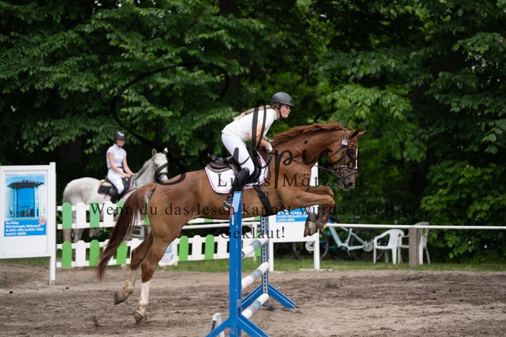 A7V04908 | Pferdefotograf