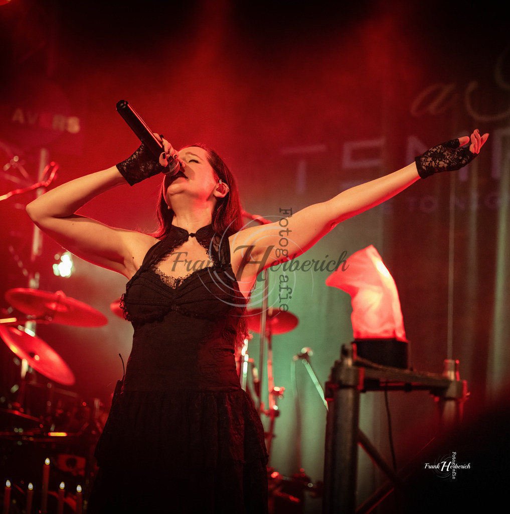 A Night In Temptation 06.03.2026 Erlenbach | Frank Herberich Fotografie, Frank Herberich, Fotografie, Hochzeit, Portrait, St. Peter Ording, Ording, Westerhever, Nordsee, Frank Fotografie, Hardheim,  Odenwald,Walldürn, Band,Eventfotografie - Realisiert mit Pictrs.com