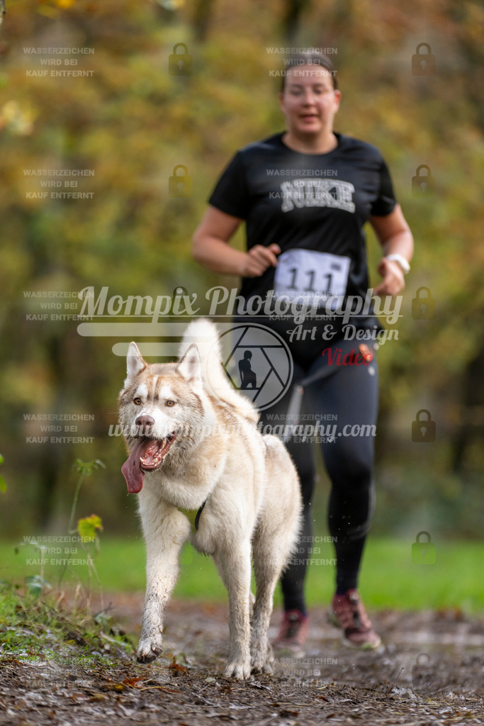 MompixPhotography_Bischwiller23_Canicross-102 | PayLife