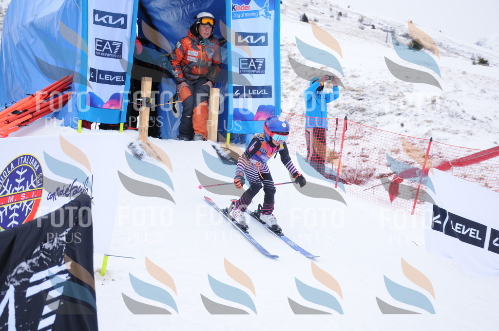 DSC_7744 | holidayphoto