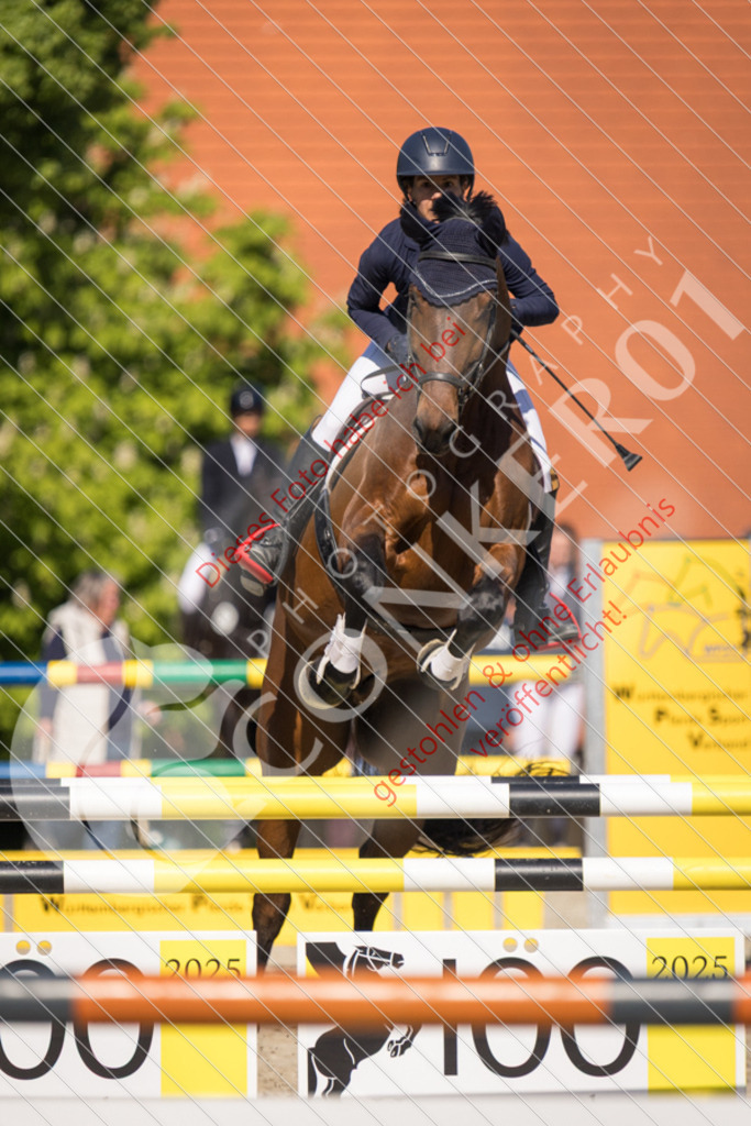 IMG_3699 | Sport-, Event- und Tierfotos in Profiqualität. Einfach auswählen, bestellen und herunterladen. Dein Moment – perfekt festgehalten.