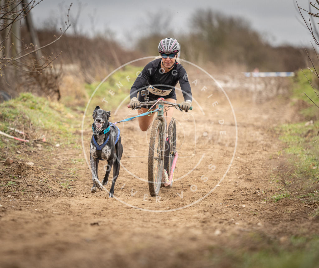 DV3A1713 | Hundefotografie, Tierfotograf, Pfotenfotografie, Fotoshooting Hund, Hunde Portrait, Hundesport, Hundeportraits, Heideshooting, Hunde, Sportfotograf, Hundefotograf, Turnierhundsport, THS,  - Realisiert mit Pictrs.com