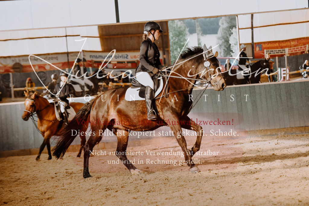 DSC_7569 | Pferde- und Turnierfotografie in Westsachsen. Pferdeportraits, Auftragszeichnungen und intuitive Kunst.