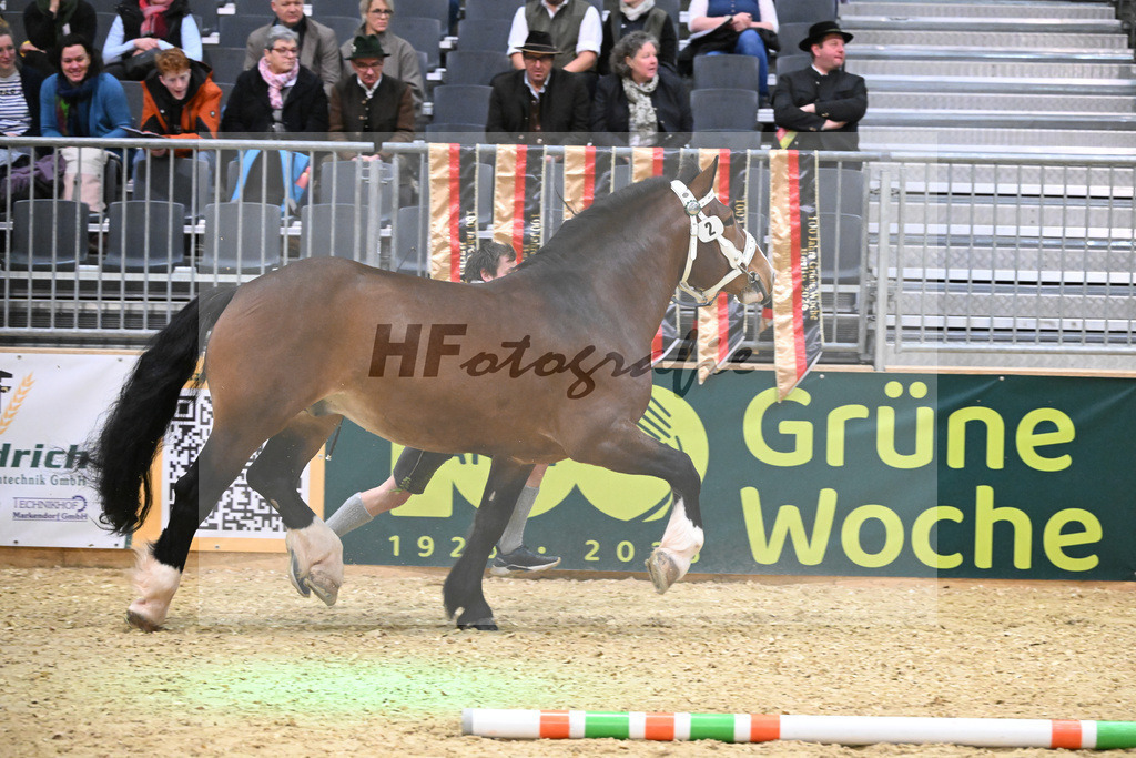 Kat-Nr. 2 Spitzingsee v. Schwanstein_Holl_1260037 | hf-fotografie - Realisiert mit Pictrs.com