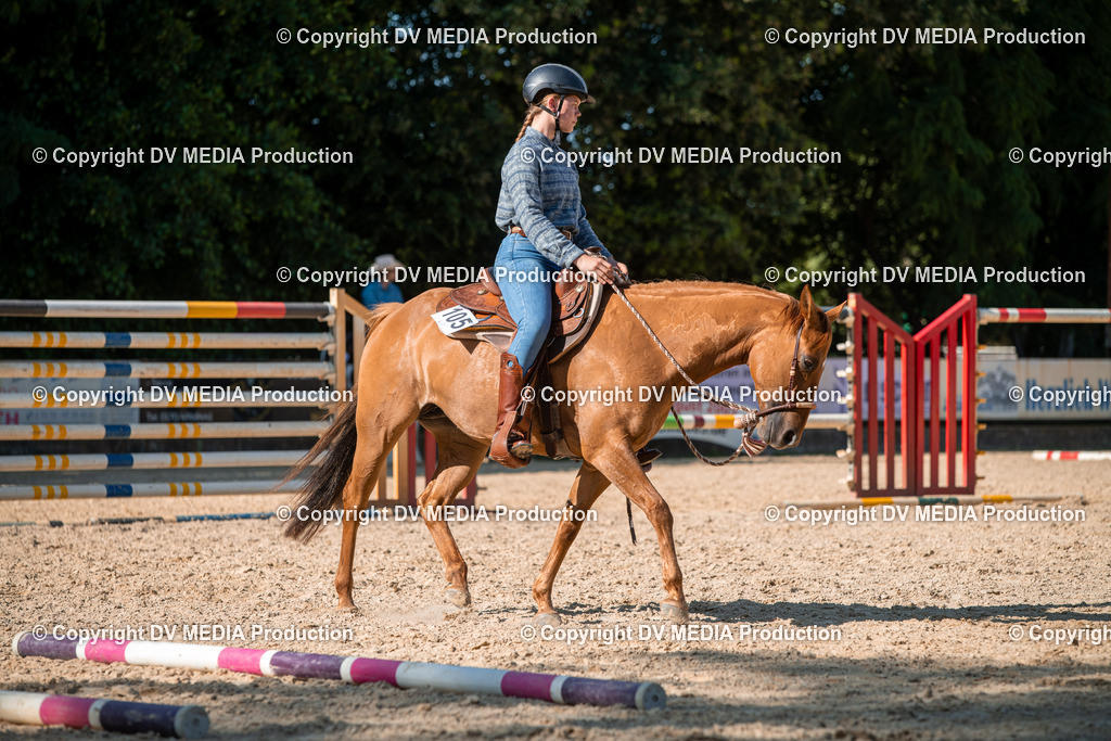 EWP_6973 | dv-media-shop - Realisiert mit Pictrs.com