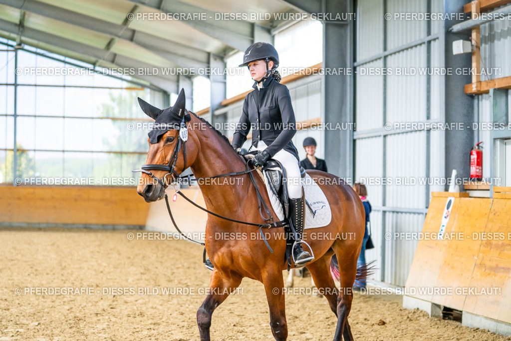 DSC03880 | Pferdegrafie