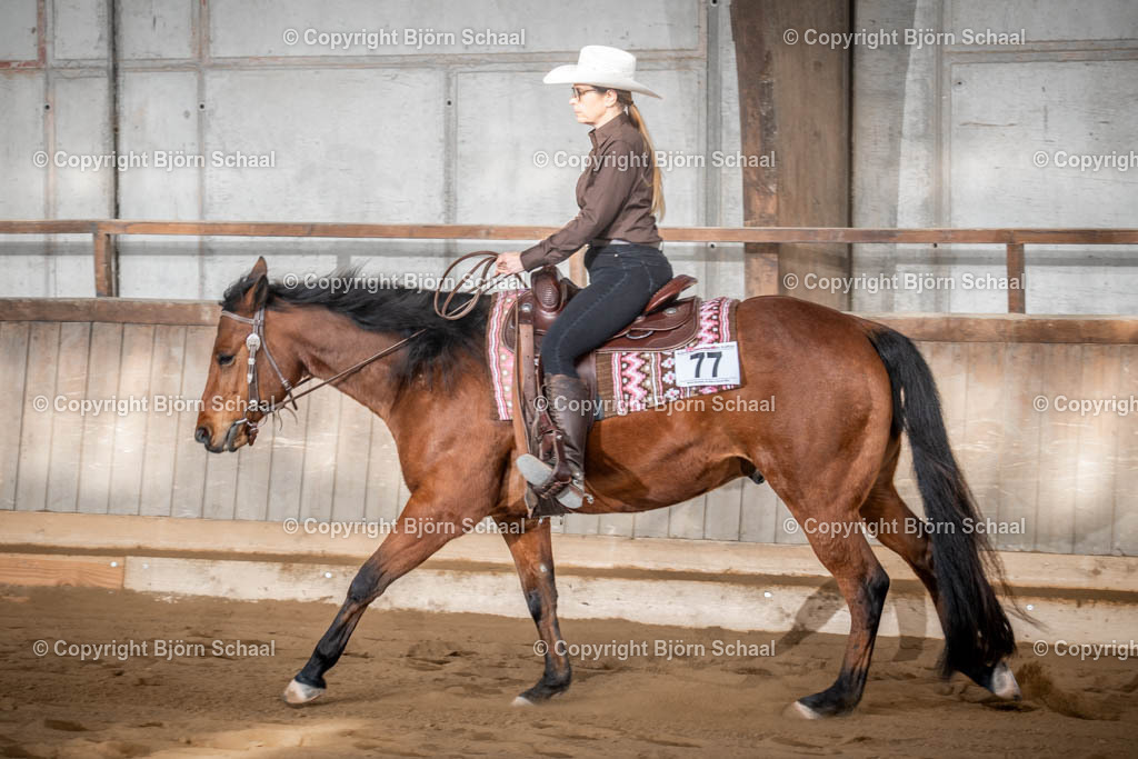 AQS00913 | BS-foto