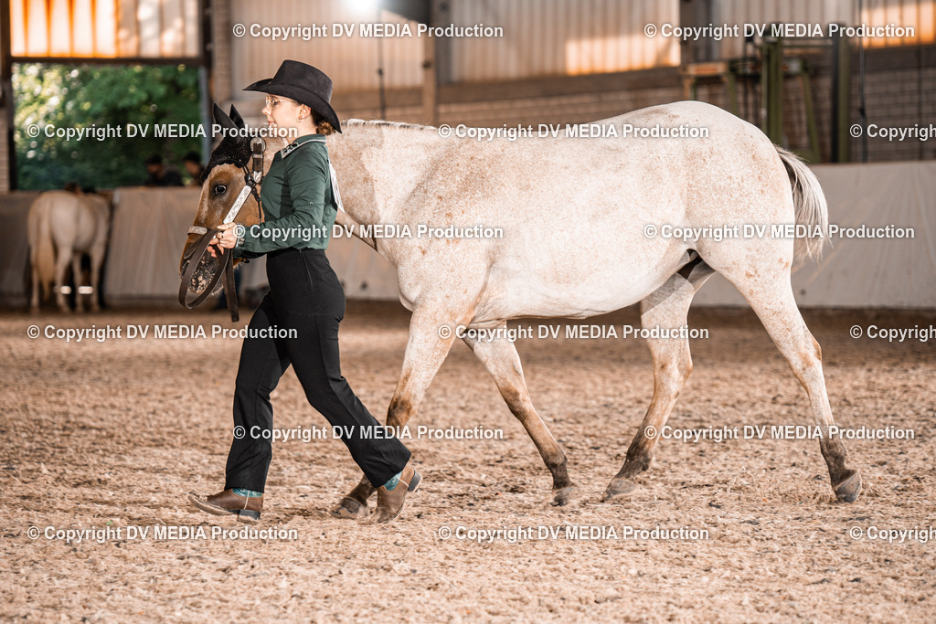 ZH100032 | dv-media-shop - Realisiert mit Pictrs.com