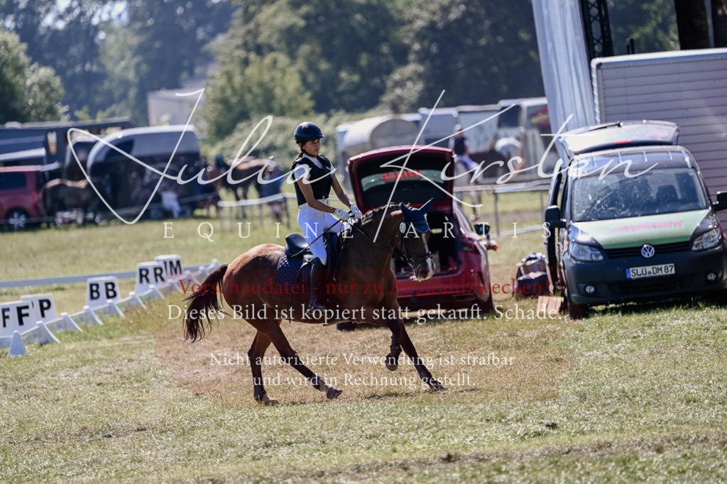 DSC_2649 | Pferde- und Turnierfotografie in Westsachsen. Pferdeportraits, Auftragszeichnungen und intuitive Kunst.
