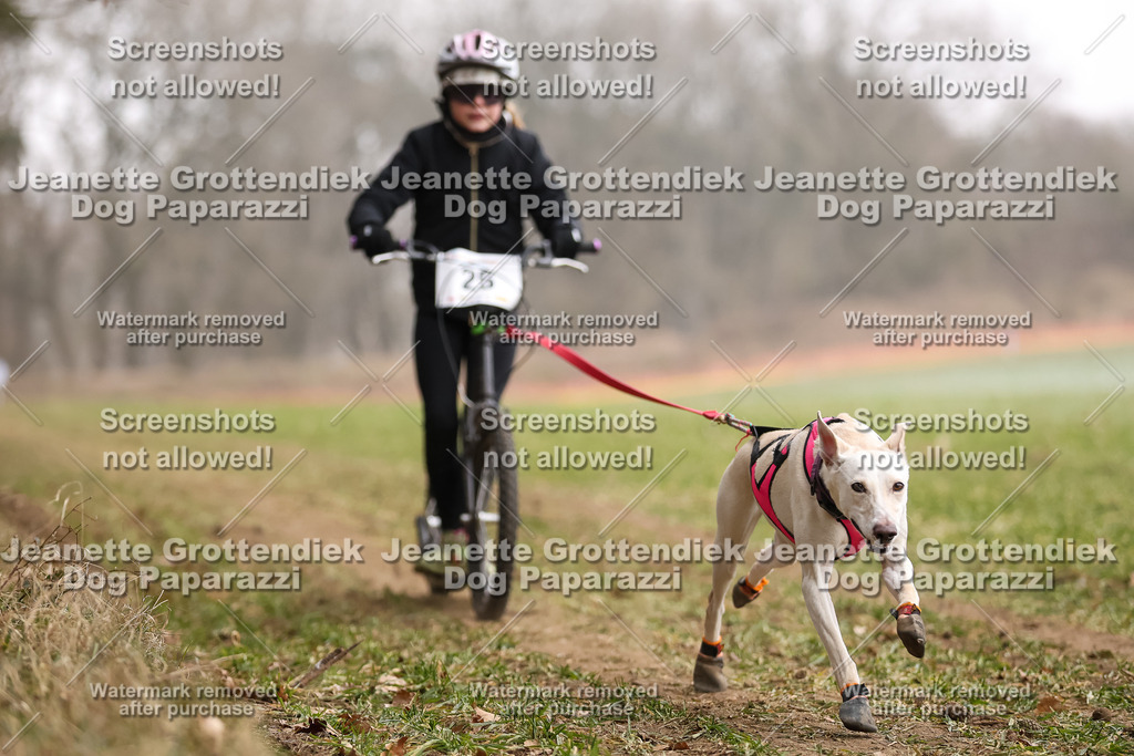 Dog Paparazzi - Plate 2026-88 | Dog Paparazzi Jeanette Grottendiek Fotografie & Videografie - Realisiert mit Pictrs.com