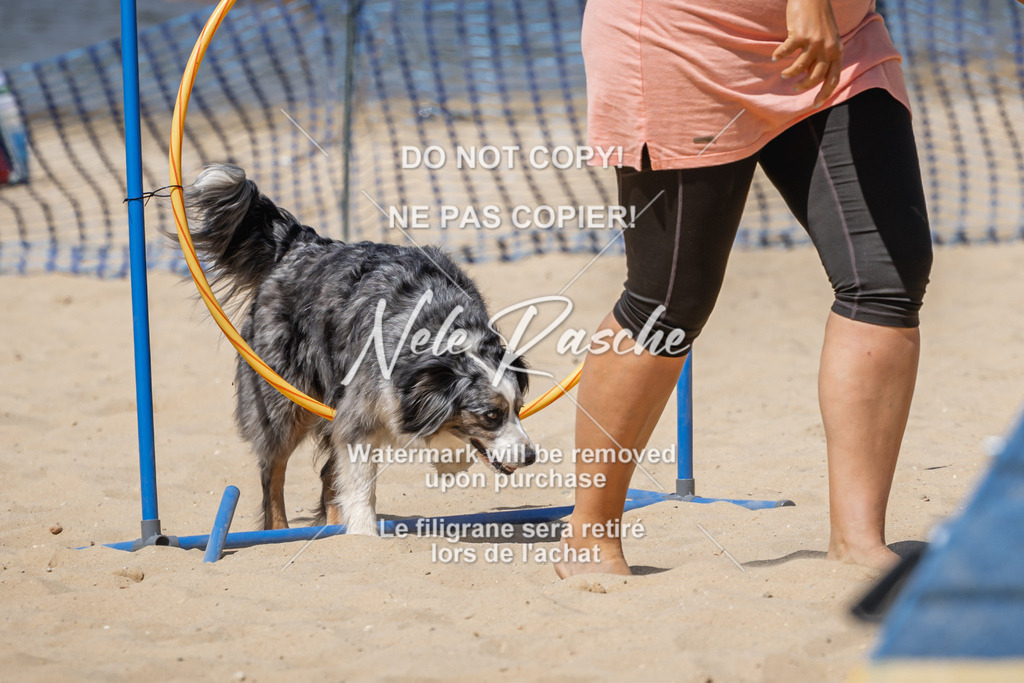 nelerasche_saBeachility_735 | nelerasche