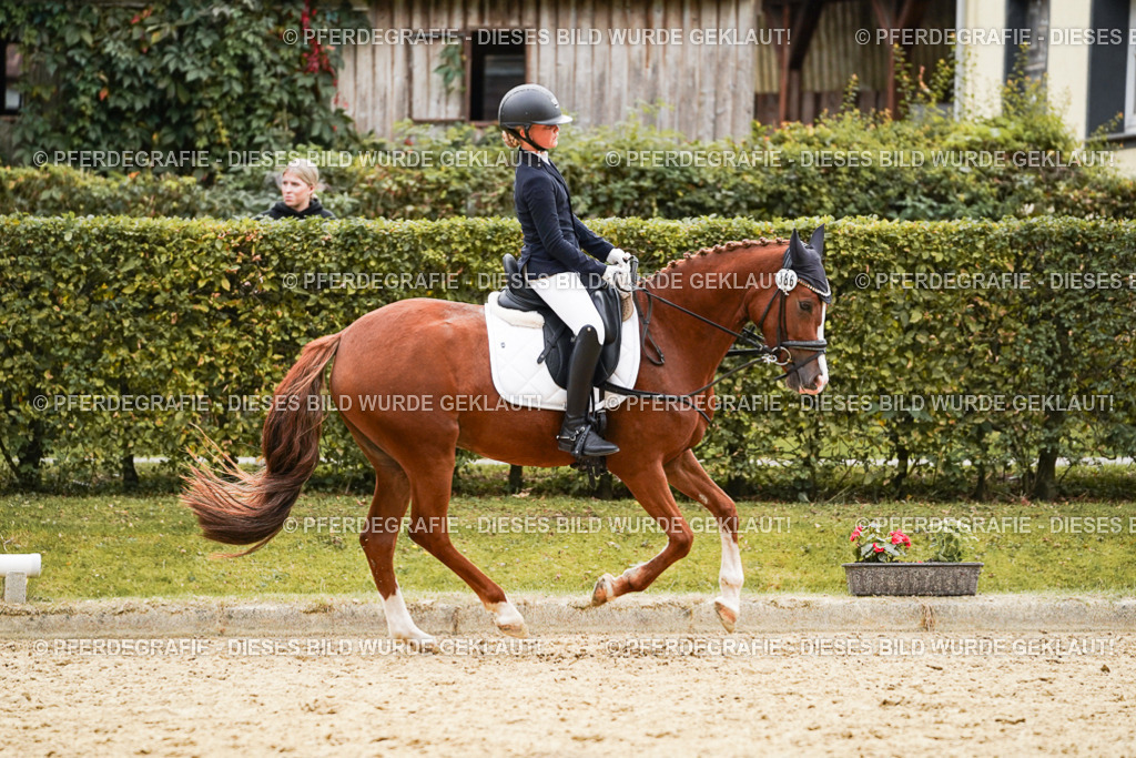 DSC09759 | Pferdegrafie