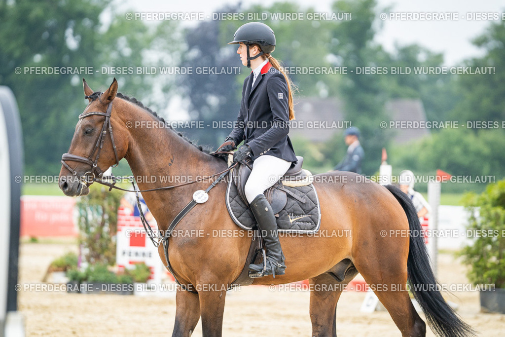 DSC00297 | Pferdegrafie